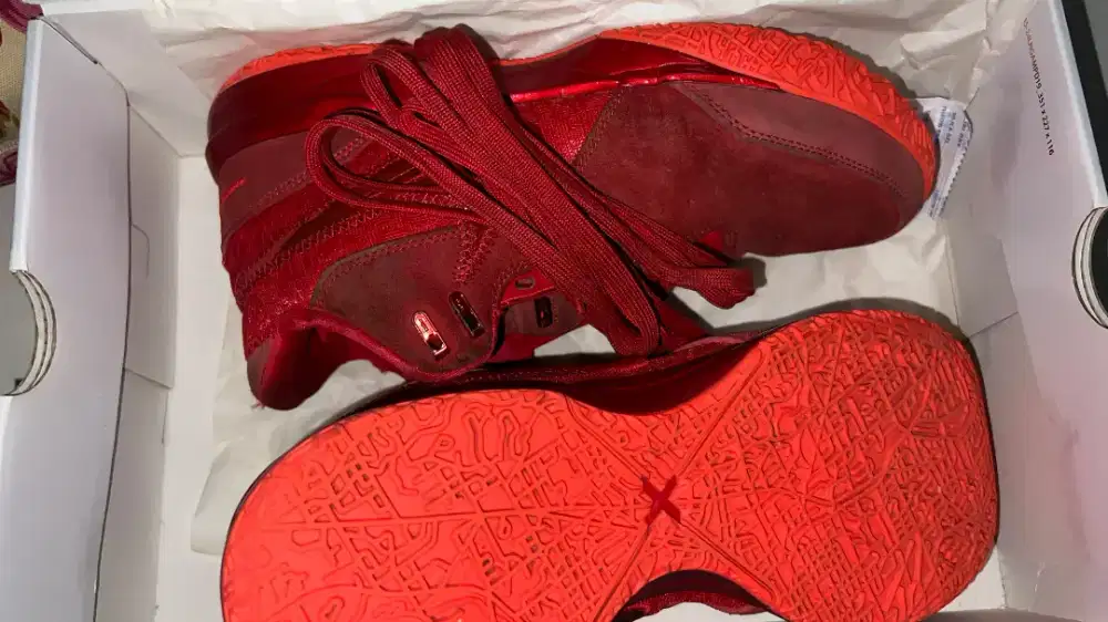 Nike Lebron NXXT Gen AMPD James Gang