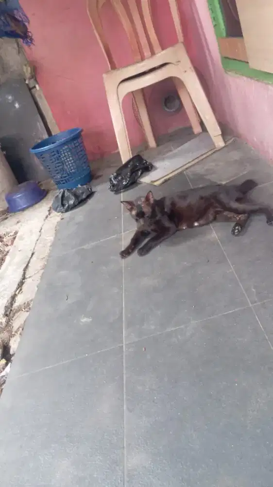 Mencari pekerjaan
