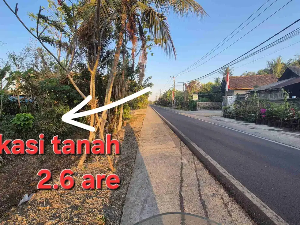 TANAH 2.6 ARE JALAN UTAMA CEMPAKA TEGAL BADENG BARAT