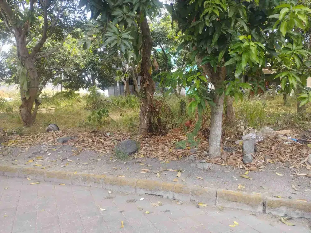 Kavling Murah Dan Bagus di bangun Rumah Tinggal di Sapen Karanganyar
