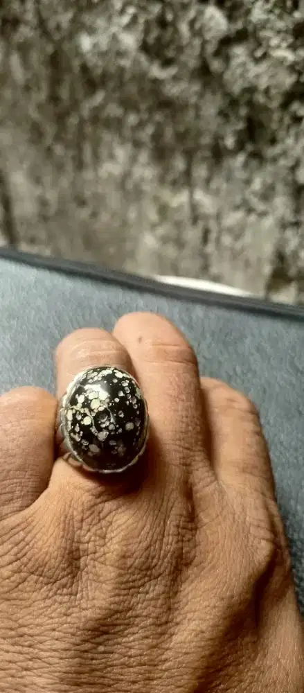 Pirus Hubei badan hitam