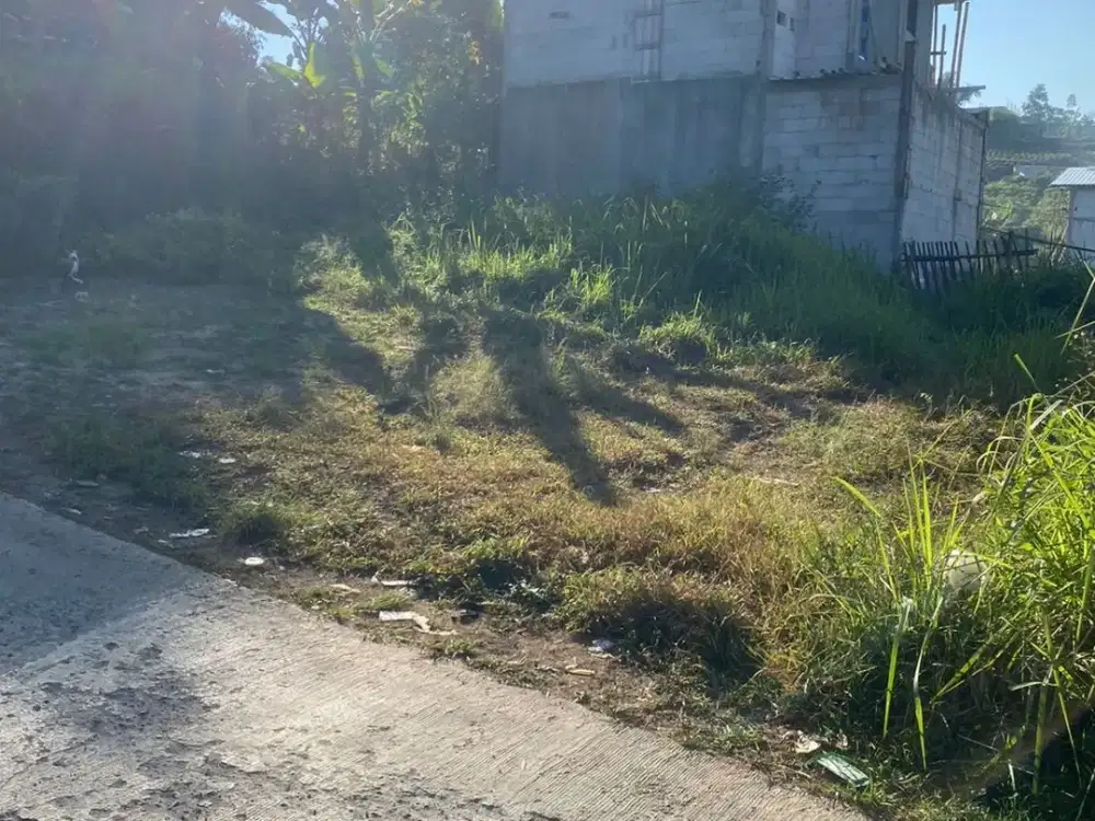 Tanah Murah Padasuka Bandung, Cocok untuk Rumah Tinggal