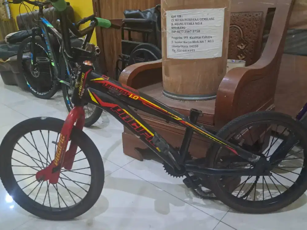 Jual sepeda anak