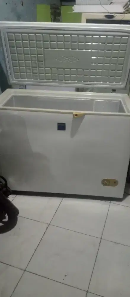 Freezer 300 ltr