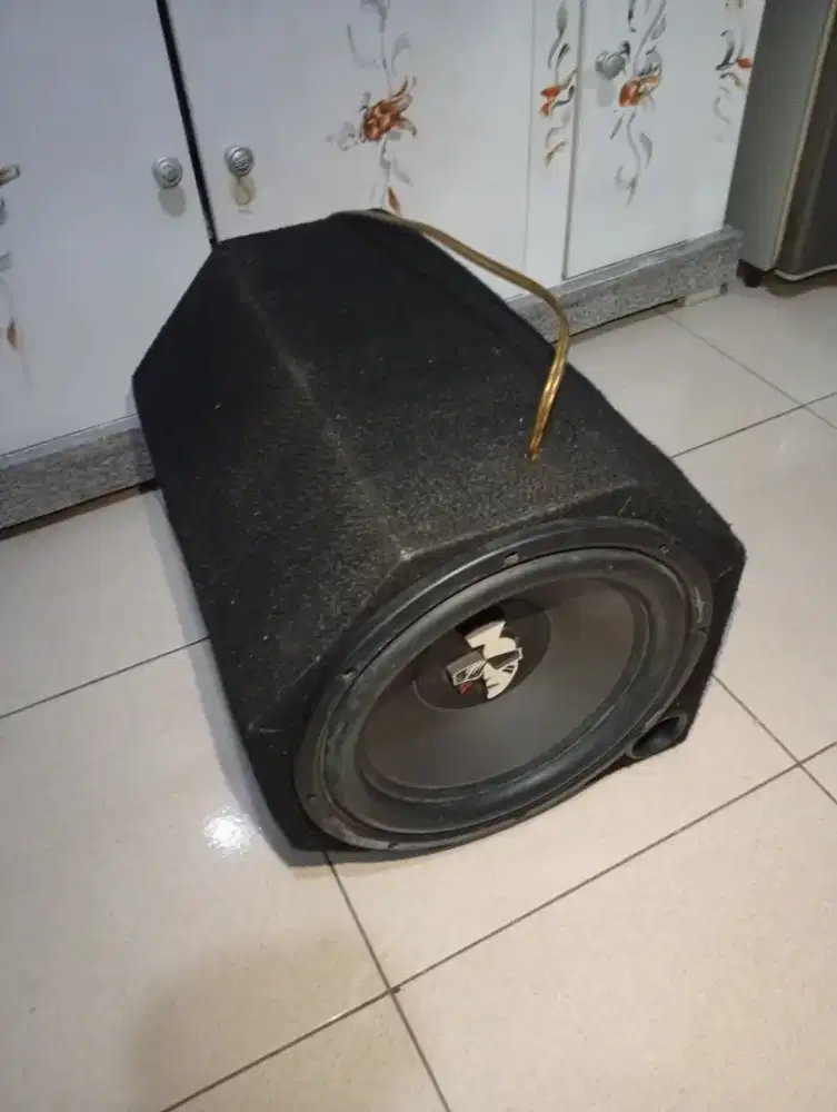 Subwoofer 12 inc Mohawk
