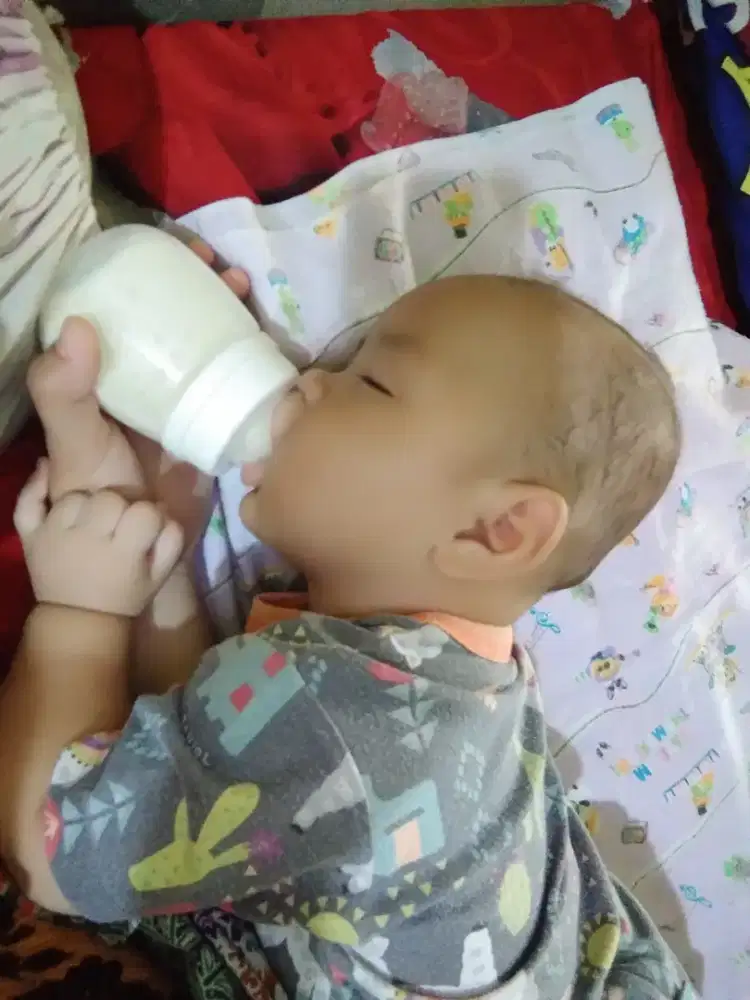 DIBUTUHKAN SEGERA PENGASUH BAYI PP