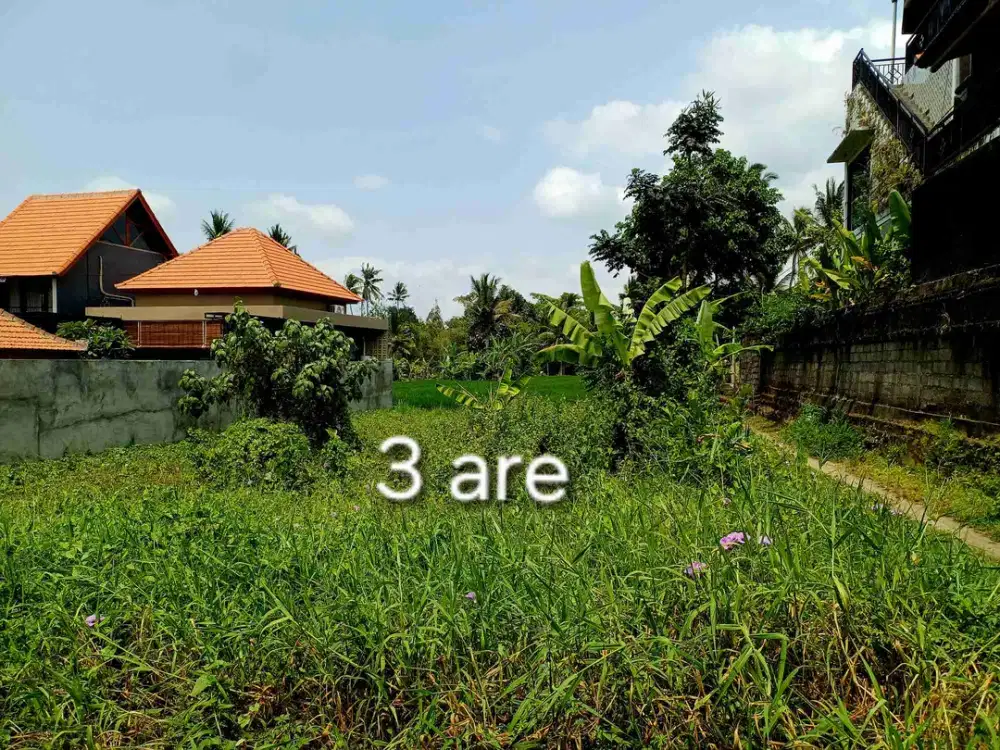 di jual tanah plot kecil 4 menit dari ubud kota