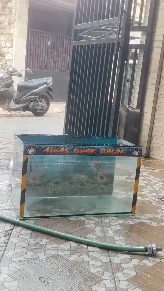 Aquarium ikan hias