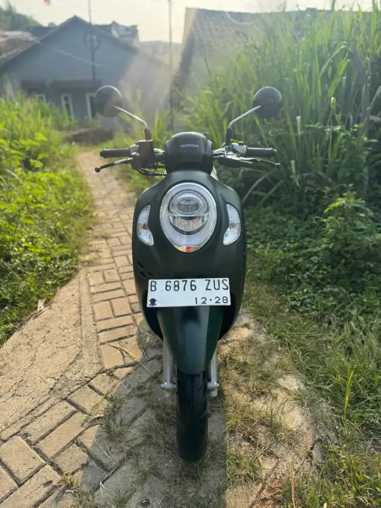 Scoopy Prestige 2023