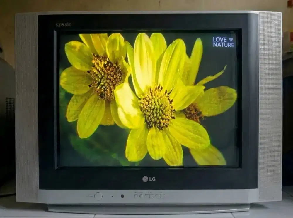 TV LG 21 inch + Remote