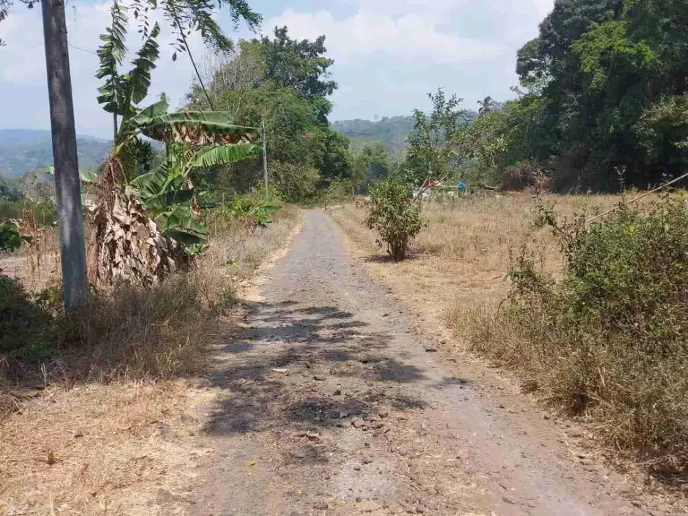 DIJUAL CEPAT TANAH PERKEBUNAN DAERAH ROMBOKEN, HARGA MURAH