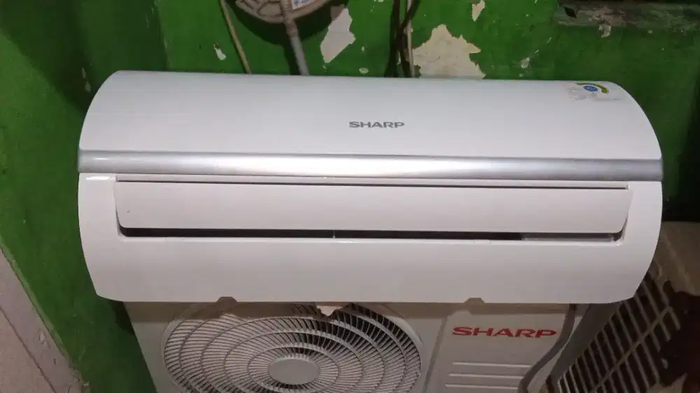 AC Sharp 1/2 PK orisinil