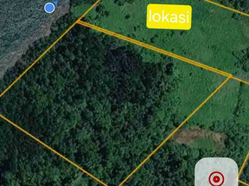 Jual Tanah 10 Hektar Di Kab.Sorong Katapop Pantai Pinggir Laut