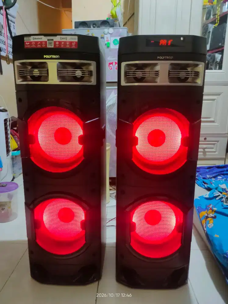Polytron 10DF28 Monster