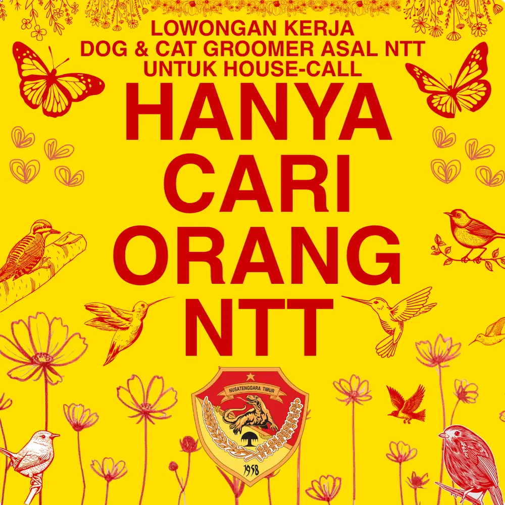 PET GROOMER ASAL NTT DOG GROOMER ASAL NTT CAT GROOMER ASAL NTT