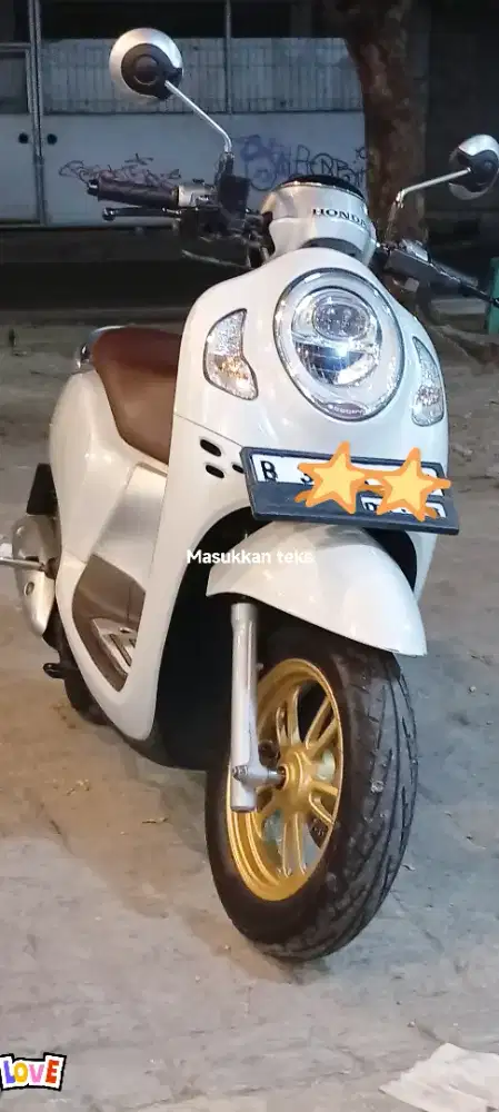 Scoopy Prestige Gress 2021/2022