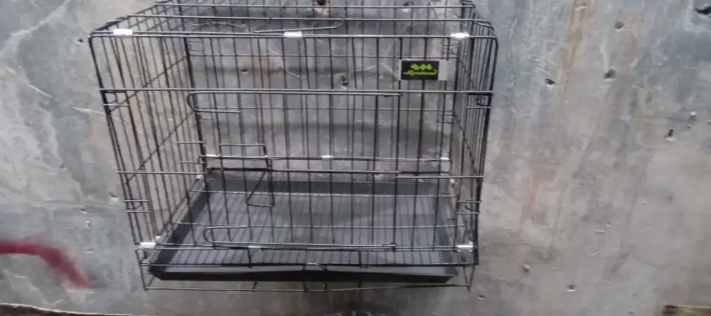 Kandang kucing - musang