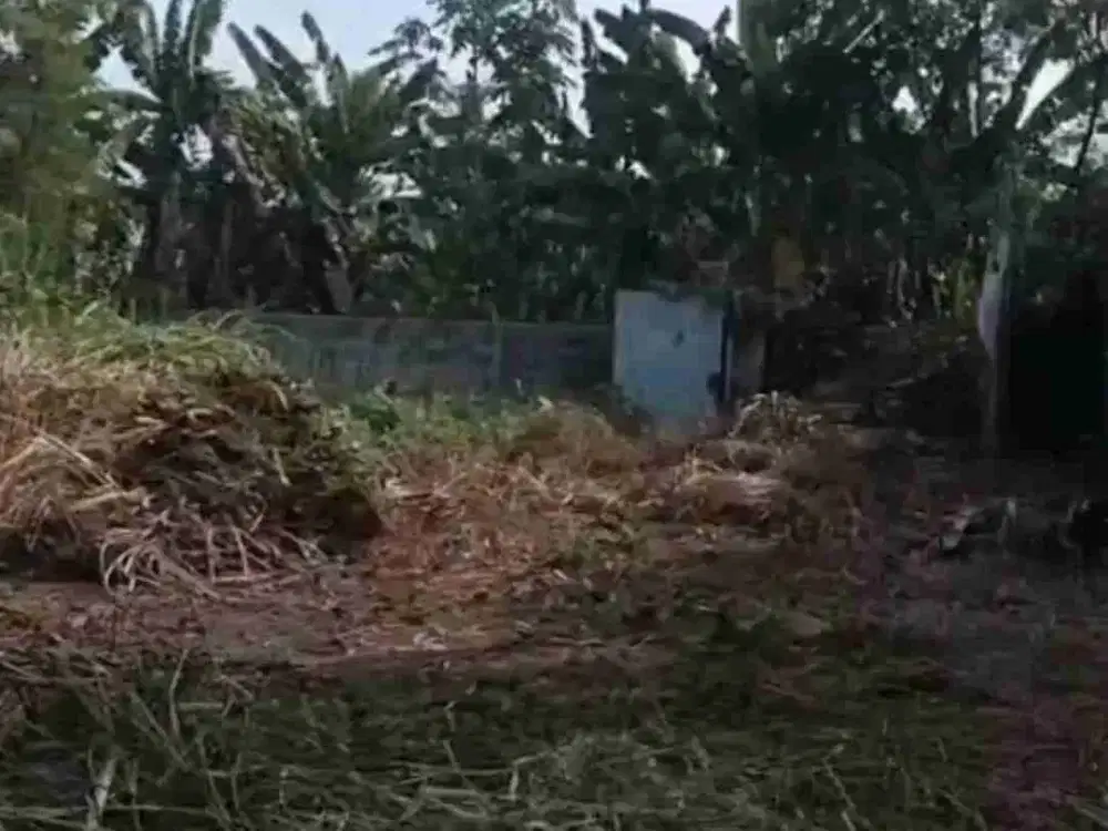 sewa tanah di viktor Buaran serpong tangerang selatan