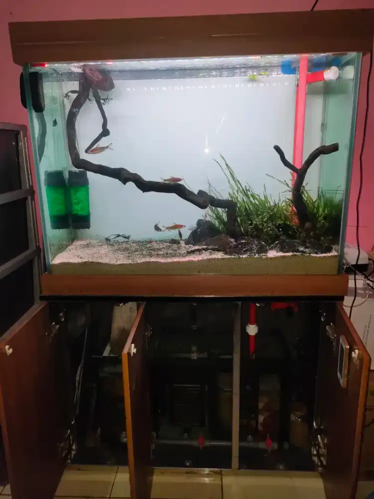 Aquarium Boyu set