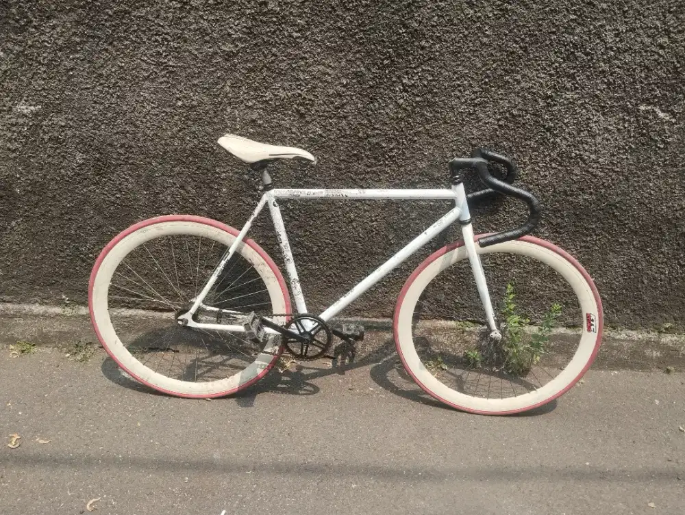 Sepeda Fixie Torpdedo