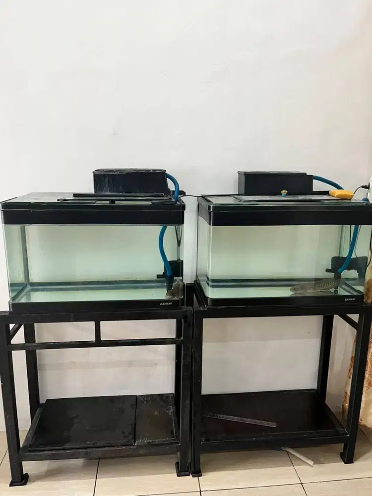 Aquarium bahari bending uk 60x30x45 second