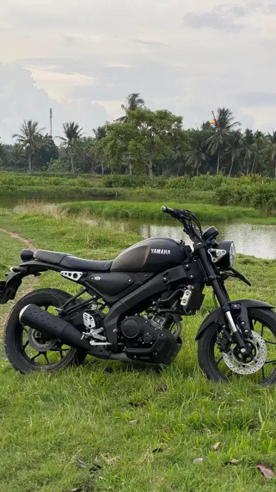 yamaha xsr155 2023