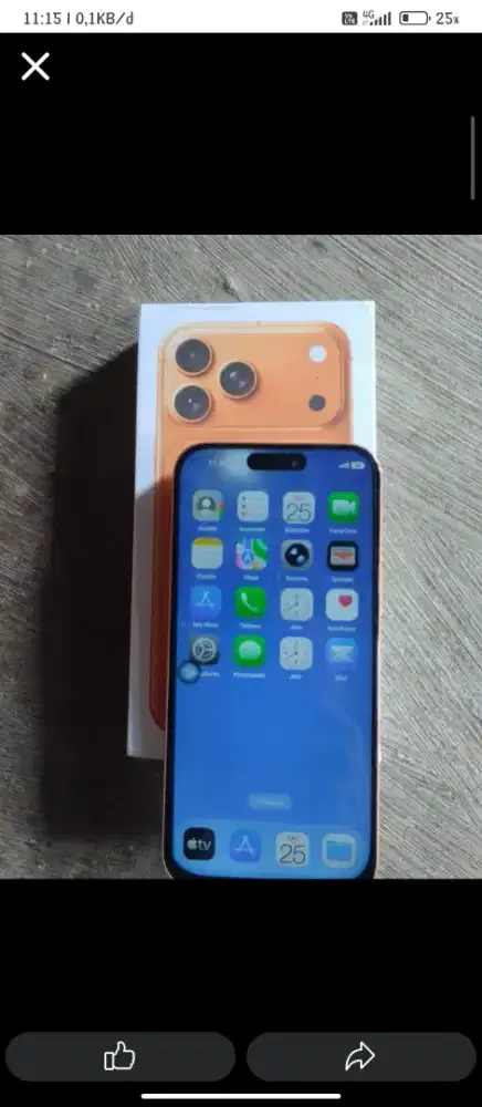 iPhone 17 pro max