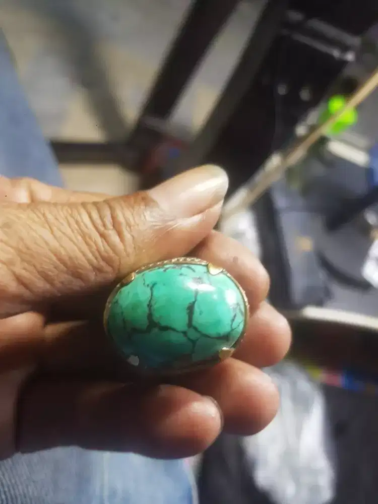 Pirus sinciang hubei