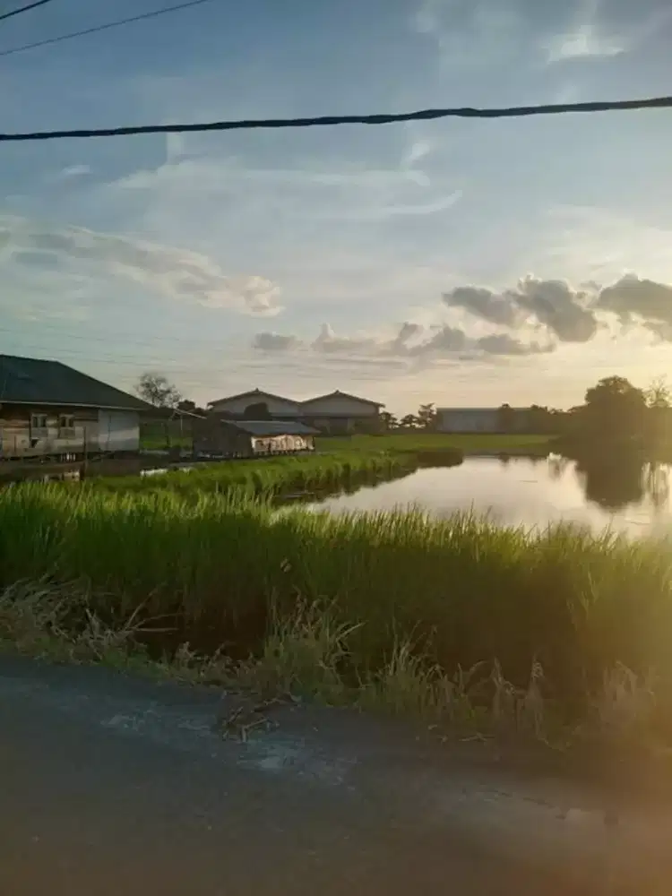 Dijual tanah secepatnya di pinggir jl raya tatah amuntai cina