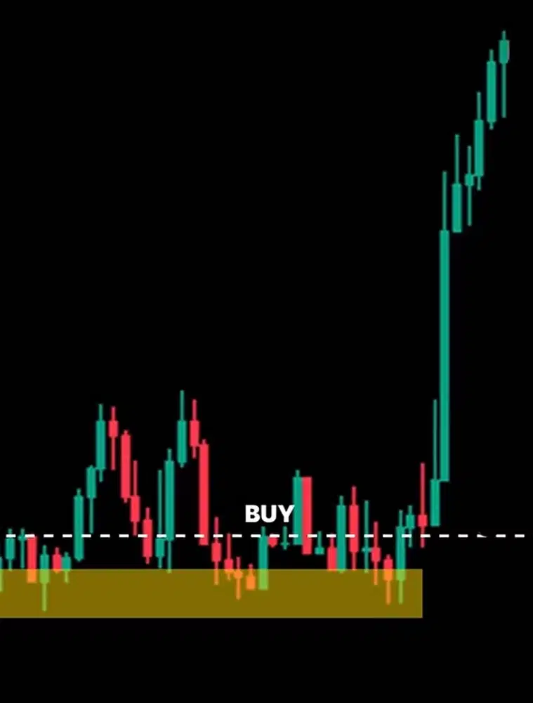 BUTUH INVESTOR MONEY