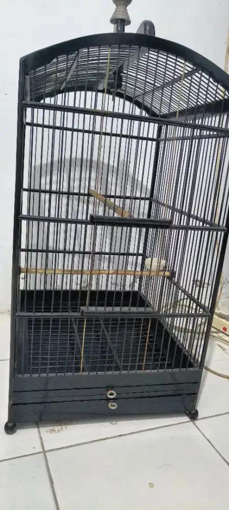 Jual Borongan Kandang Burung