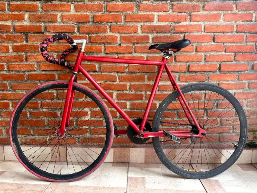 Fixie  24 Frame Alloy