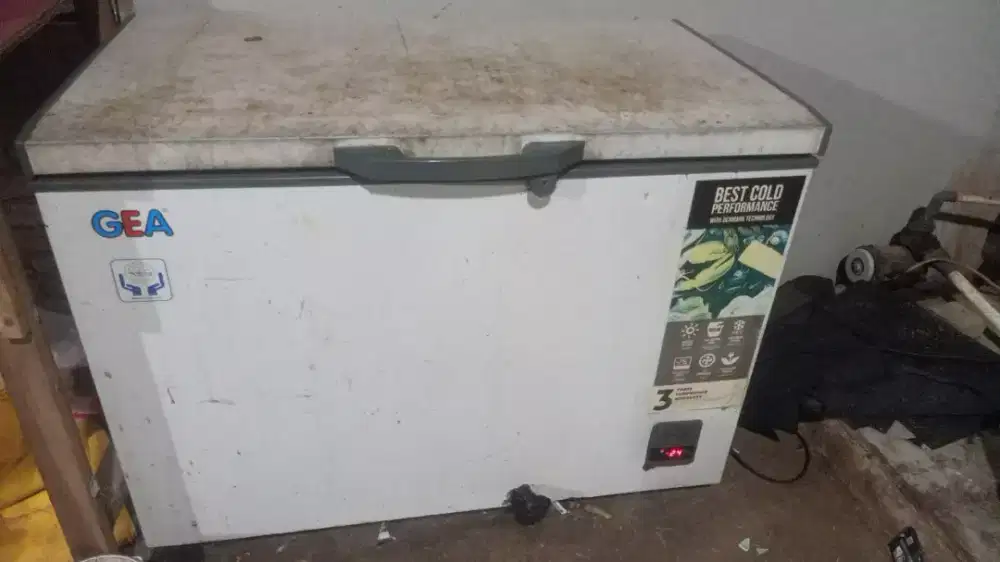 Freezer Box GEA 300lt