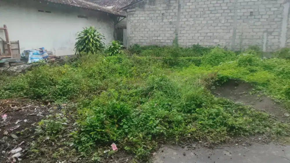 Tanah Murah Di kalasan