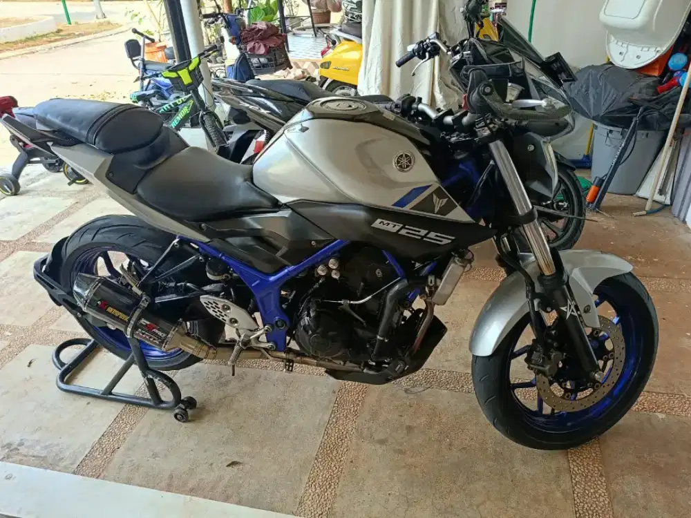 Yamaha MT 25 (2017)