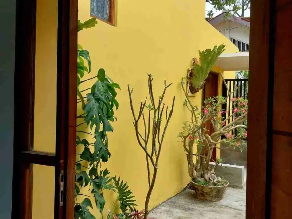 Murah Rumah hitung tanah 420m,  Sukasari cocok untuk kosan ,100 m dari Ekalose Bogor