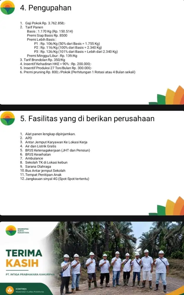 lowongan pemanen perkebunan HTI