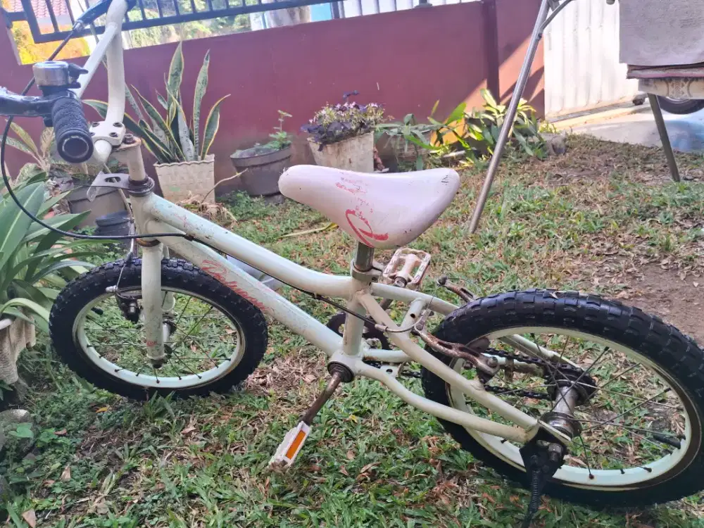 Sepeda anak polygon murah