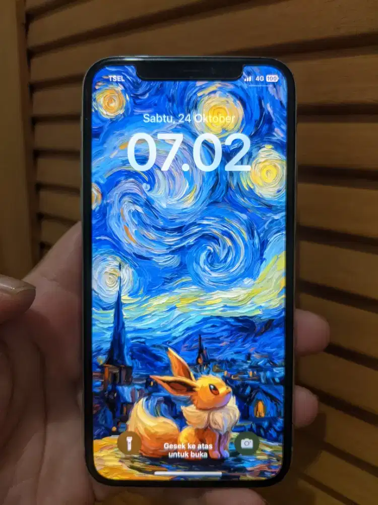 iPhone X 64 ibox