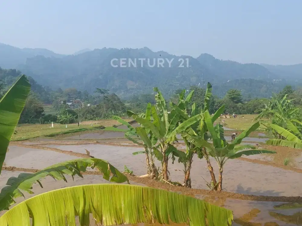 Kavling Sentul View Pegunungan Cocok Untuk Penginapan Ef 19420
