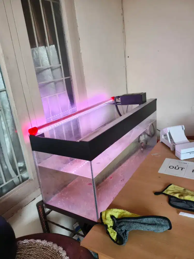 Aquarium lengkap siap pakai
