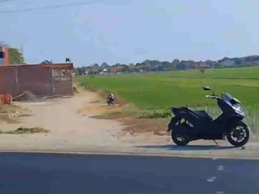 tanah pantura pemalang ploting kuning