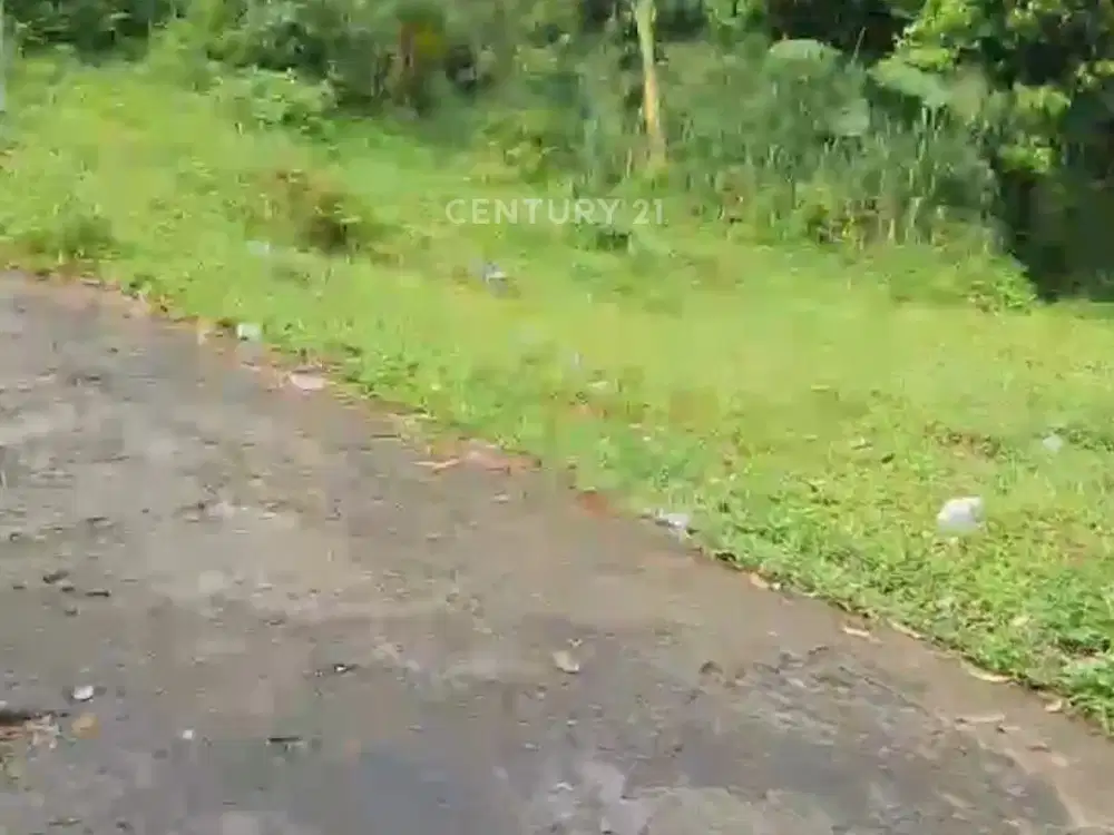 Kavling Luas Di Babakan Madang Bogor Ef 19485