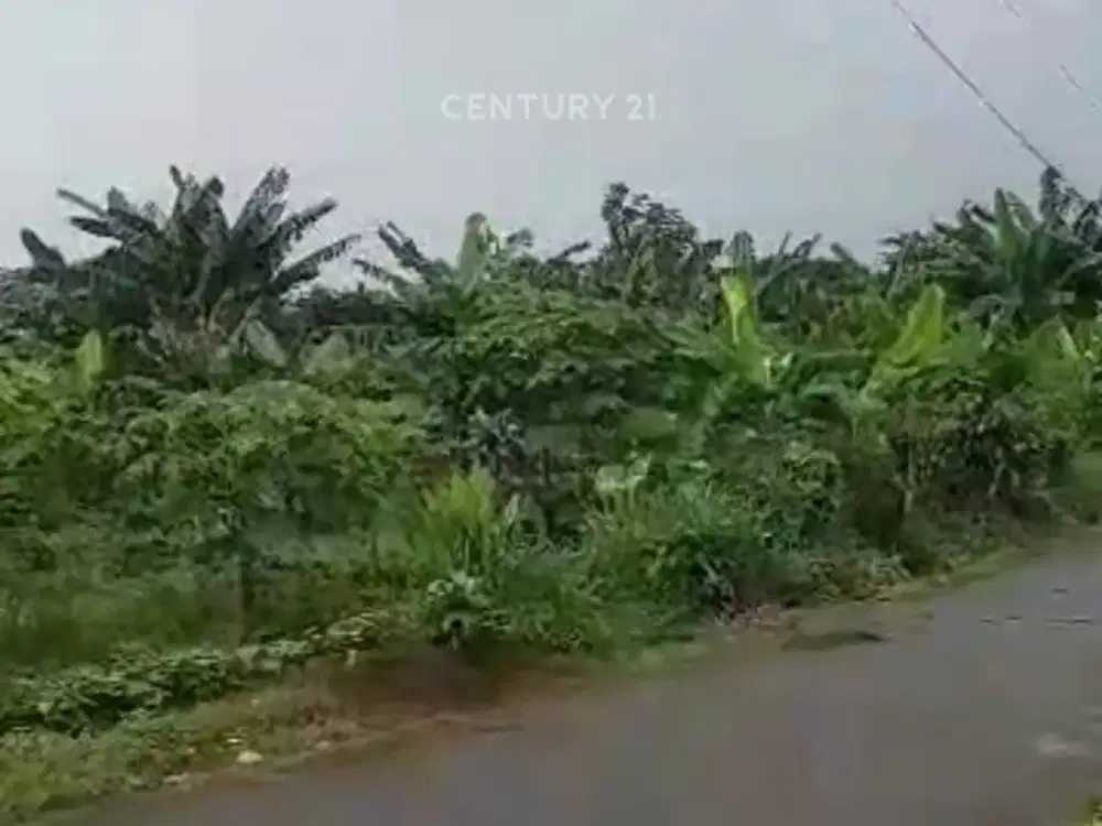 Kavling Luas Lokasi Bagus Di Parung Bogor Ef 19488
