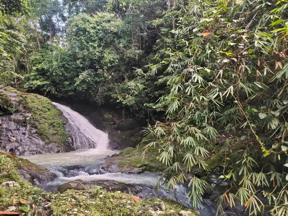 Dijual Tanah dengan View Sungai yang Alami di Desa Dalang