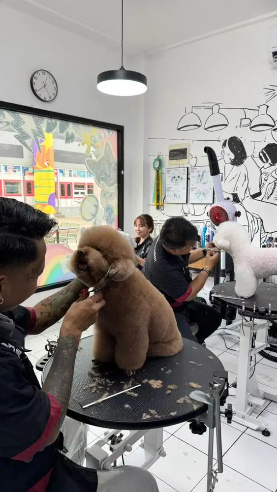 LOWONGAN BATHER & DOG STYLIST