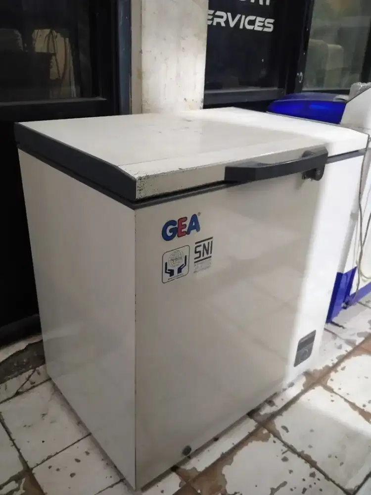 Freezer box 200 liter gea