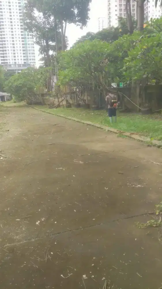 Babat/potong rumput dengan mesin