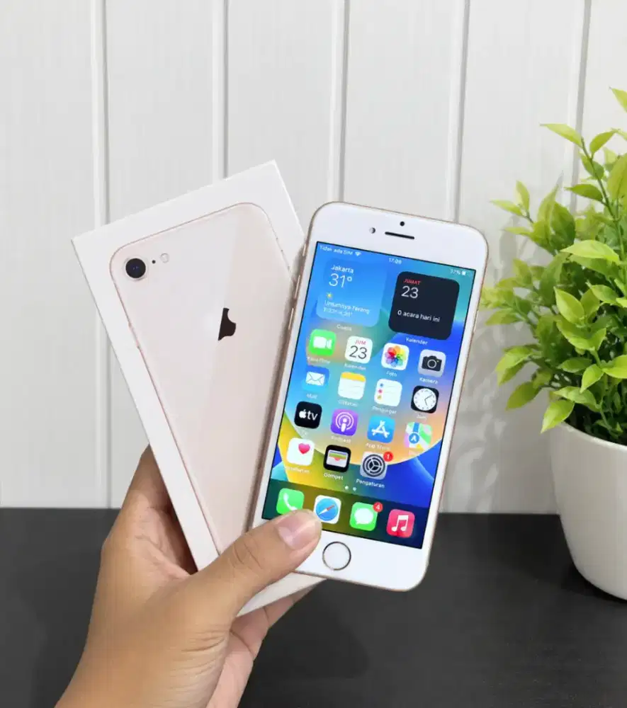 Iphone 8 64gb Ibox No Minus