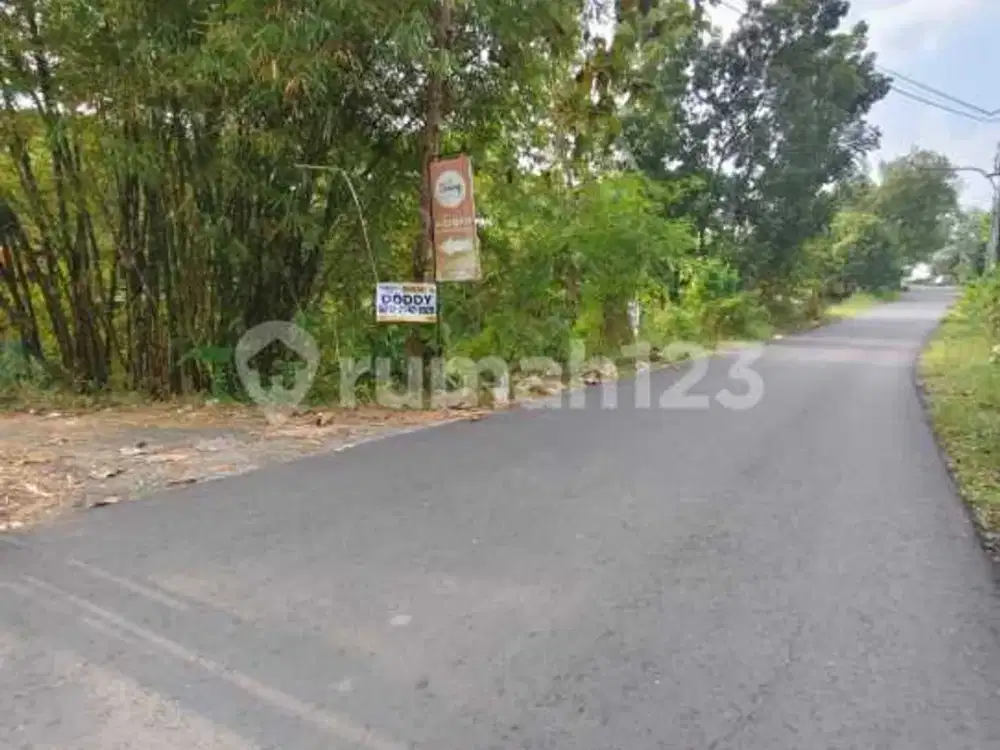 Tanah Luas Strategis Dekat Kasongan dan Kampus Umy Kasihan Bantul Yogyakarta